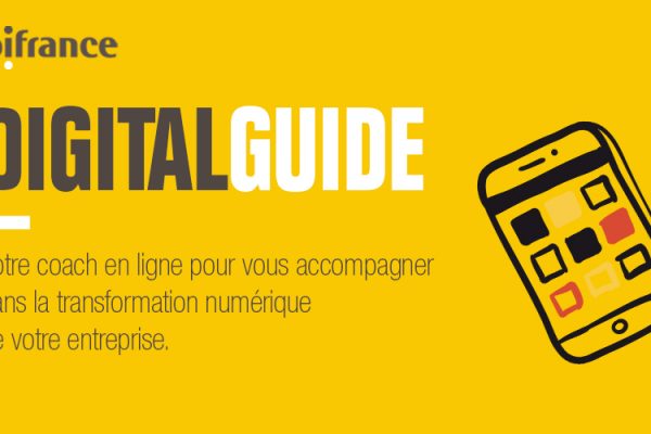 digital guide par bpi france & synaltic